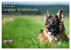 Zauberhafte Langhaar Schäferhunde (Tischkalender 2025 DIN A5 quer), CALVENDO Monatskalender