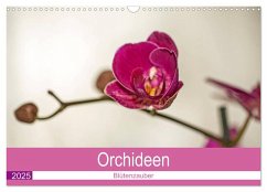 Blütenzauber Orchideen (Wandkalender 2025 DIN A3 quer), CALVENDO Monatskalender