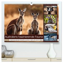 Australiens faszinierende Fauna (hochwertiger Premium Wandkalender 2025 DIN A2 quer), Kunstdruck in Hochglanz