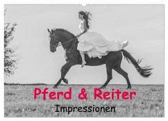 Pferd & Reiter - Impressionen (Wandkalender 2025 DIN A2 quer), CALVENDO Monatskalender