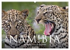 Namibia - Die Tierwelt (Wandkalender 2025 DIN A2 quer), CALVENDO Monatskalender