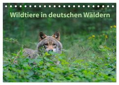 Wildtiere in deutschen Wäldern (Tischkalender 2025 DIN A5 quer), CALVENDO Monatskalender