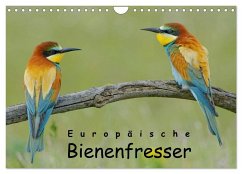 Europäische Bienenfresser (Wandkalender 2025 DIN A4 quer), CALVENDO Monatskalender