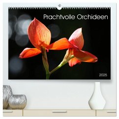 Prachtvolle Orchideen (hochwertiger Premium Wandkalender 2025 DIN A2 quer), Kunstdruck in Hochglanz - Calvendo;Schnellewelten