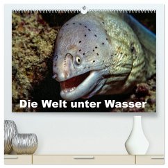 Die Welt unter Wasser (hochwertiger Premium Wandkalender 2025 DIN A2 quer), Kunstdruck in Hochglanz