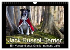 Jack Russell Terrier.....Ein Verwandlungskünstler namens Jake (Wandkalender 2025 DIN A4 quer), CALVENDO Monatskalender - Calvendo;Schröder, AWS S. + J. Schröder, Werbeagentur,, Susanne
