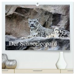 Der Schneeleopard (hochwertiger Premium Wandkalender 2025 DIN A2 quer), Kunstdruck in Hochglanz