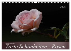 Zarte Schönheiten - Rosen (Wandkalender 2025 DIN A3 quer), CALVENDO Monatskalender - Calvendo;Schumann, Bianca