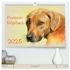 Rhodesian Ridgeback 2025 (hochwertiger Premium Wandkalender 2025 DIN A2 quer), Kunstdruck in Hochglanz - Calvendo;Redecker, Andrea