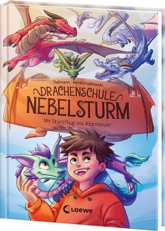 Im Sturzflug ins Abenteuer / Drachenschule Nebelsturm Bd.1 - Tielmann, Christian