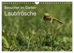 Besucher im Garten - Laubfrösche (Wandkalender 2025 DIN A4 quer), CALVENDO Monatskalender