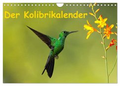 Der Kolibrikalender (Wandkalender 2025 DIN A4 quer), CALVENDO Monatskalender - Calvendo;Akrema-Photography