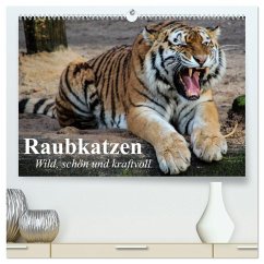 Raubkatzen. Wild, schön und kraftvoll (hochwertiger Premium Wandkalender 2025 DIN A2 quer), Kunstdruck in Hochglanz