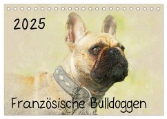 Französische Bulldoggen 2025 (Tischkalender 2025 DIN A5 quer), CALVENDO Monatskalender - Calvendo;Redecker, Andrea