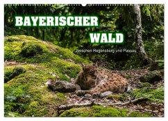 Bayerischer Wald (Wandkalender 2025 DIN A2 quer), CALVENDO Monatskalender