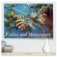 Fische und Meerestiere (hochwertiger Premium Wandkalender 2025 DIN A2 quer), Kunstdruck in Hochglanz