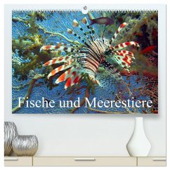 Fische und Meerestiere (hochwertiger Premium Wandkalender 2025 DIN A2 quer), Kunstdruck in Hochglanz - Calvendo;Stanzer, Elisabeth