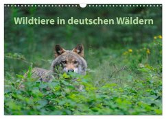 Wildtiere in deutschen Wäldern (Wandkalender 2025 DIN A3 quer), CALVENDO Monatskalender - Calvendo;Jähne, Karin