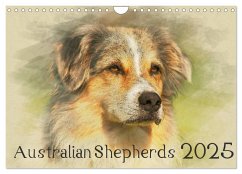 Australian Shepherds 2025 (Wandkalender 2025 DIN A4 quer), CALVENDO Monatskalender - Calvendo;Redecker, Andrea