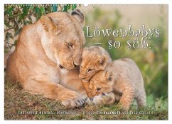 Emotionale Momente: Löwenbabys - so süß. (Wandkalender 2025 DIN A2 quer), CALVENDO Monatskalender