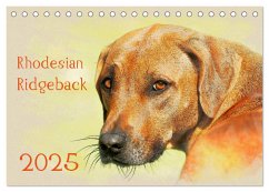Rhodesian Ridgeback 2025 (Tischkalender 2025 DIN A5 quer), CALVENDO Monatskalender
