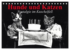Hunde und Katzen - Nostalgie im Kuschelfell (Tischkalender 2025 DIN A5 quer), CALVENDO Monatskalender