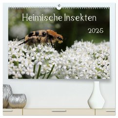 Heimische Insekten 2025 (hochwertiger Premium Wandkalender 2025 DIN A2 quer), Kunstdruck in Hochglanz