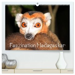 Faszination Madagaskar (hochwertiger Premium Wandkalender 2025 DIN A2 quer), Kunstdruck in Hochglanz - Calvendo;Raab, Karsten-Thilo