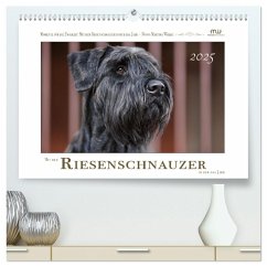 Mit dem Riesenschnauzer durch das Jahr (hochwertiger Premium Wandkalender 2025 DIN A2 quer), Kunstdruck in Hochglanz