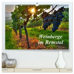 Weinberge im Remstal (hochwertiger Premium Wandkalender 2025 DIN A2 quer), Kunstdruck in Hochglanz - Calvendo;Schmidt, Bernd