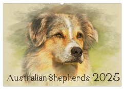 Australian Shepherds 2025 (Wandkalender 2025 DIN A2 quer), CALVENDO Monatskalender