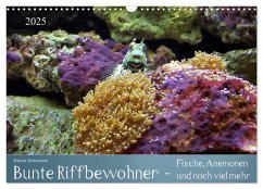 Bunte Riffbewohner - Fische, Anemonen und noch viel mehr (Wandkalender 2025 DIN A3 quer), CALVENDO Monatskalender