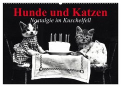 Hunde und Katzen - Nostalgie im Kuschelfell (Wandkalender 2025 DIN A2 quer), CALVENDO Monatskalender