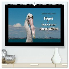 Vögel von "Down Under" Australien (hochwertiger Premium Wandkalender 2025 DIN A2 quer), Kunstdruck in Hochglanz