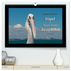 Vögel von &quote;Down Under&quote; Australien (hochwertiger Premium Wandkalender 2025 DIN A2 quer), Kunstdruck in Hochglanz