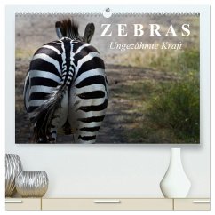 Zebras - Ungezähmte Kraft (hochwertiger Premium Wandkalender 2025 DIN A2 quer), Kunstdruck in Hochglanz