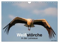 Weißstörche in der Leineaue (Wandkalender 2025 DIN A4 quer), CALVENDO Monatskalender - Calvendo;Trappe, Janto