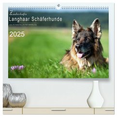 Zauberhafte Langhaar Schäferhunde (hochwertiger Premium Wandkalender 2025 DIN A2 quer), Kunstdruck in Hochglanz