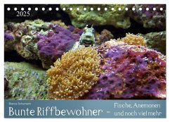 Bunte Riffbewohner - Fische, Anemonen und noch viel mehr (Tischkalender 2025 DIN A5 quer), CALVENDO Monatskalender