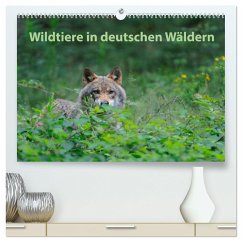 Wildtiere in deutschen Wäldern (hochwertiger Premium Wandkalender 2025 DIN A2 quer), Kunstdruck in Hochglanz
