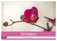 Blütenzauber Orchideen (Wandkalender 2025 DIN A2 quer), CALVENDO Monatskalender