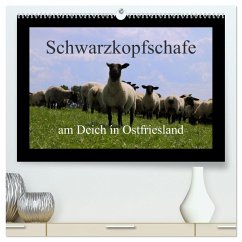 Schwarzkopfschafe am Deich in Ostfriesland (hochwertiger Premium Wandkalender 2025 DIN A2 quer), Kunstdruck in Hochglanz