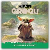 Star Wars - The Mandalorian Grogu 2025 - Wandkalender
