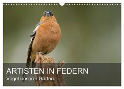 Artisten in Federn - Vögel unserer Gärten (Wandkalender 2025 DIN A3 quer), CALVENDO Monatskalender