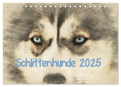 Schlittenhunde 2025 (Tischkalender 2025 DIN A5 quer), CALVENDO Monatskalender - Calvendo;Redecker, Andrea