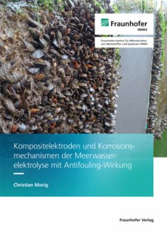 Kompositelektroden und Korrosionsmechanismen der Meerwasserelektrolyse mit Antifouling-Wirkung - Morig, Christian
