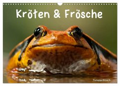 Kröten & Frösche (Wandkalender 2025 DIN A3 quer), CALVENDO Monatskalender