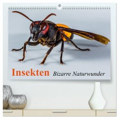 Insekten ¿ Bizarre Naturwunder (hochwertiger Premium Wandkalender 2025 DIN A2 quer), Kunstdruck in Hochglanz