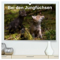 Bei den Jungfüchsen (hochwertiger Premium Wandkalender 2025 DIN A2 quer), Kunstdruck in Hochglanz