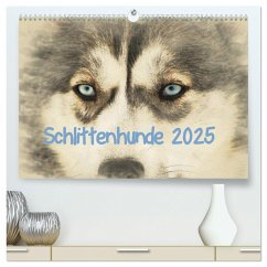 Schlittenhunde 2025 (hochwertiger Premium Wandkalender 2025 DIN A2 quer), Kunstdruck in Hochglanz